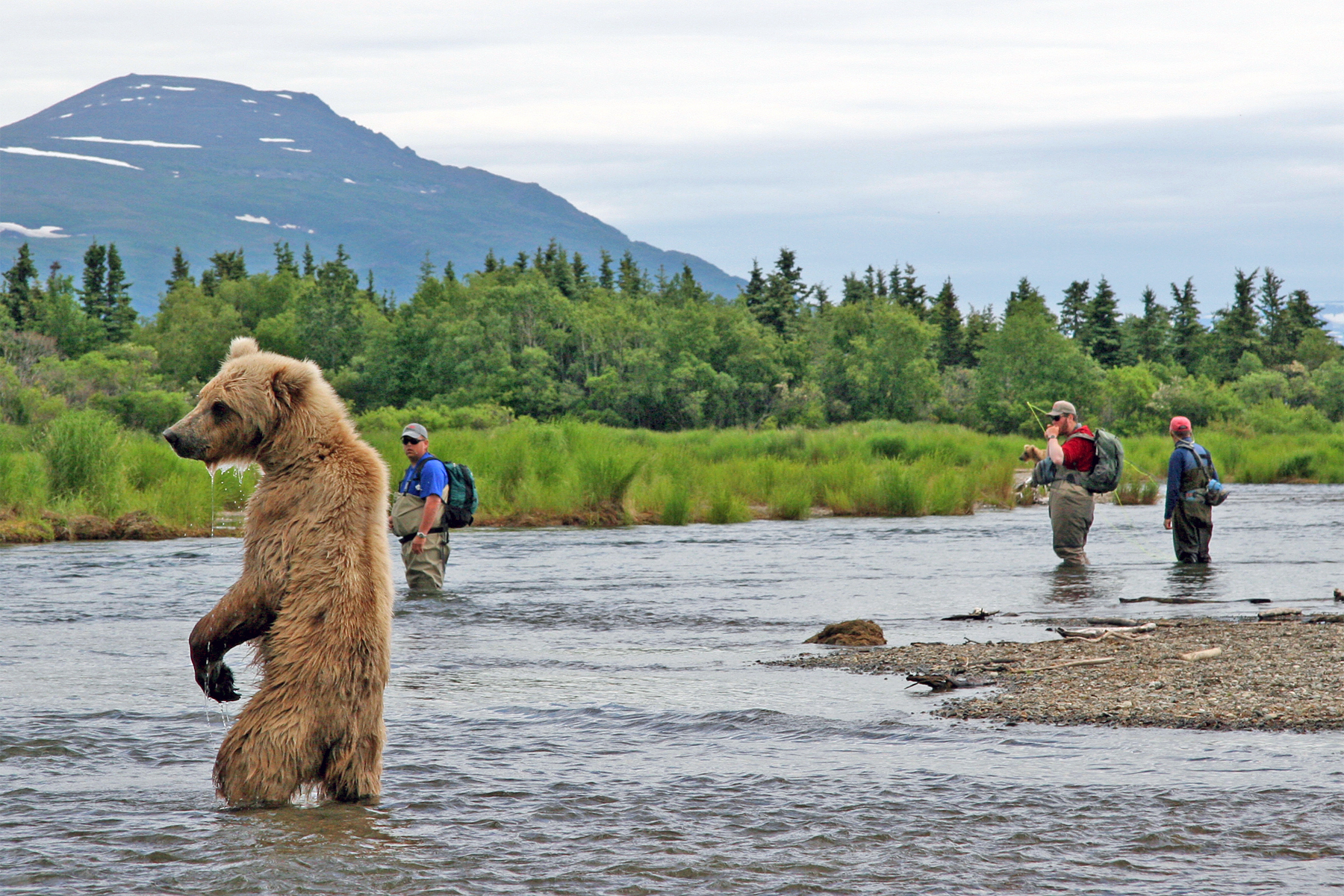 alaska trips