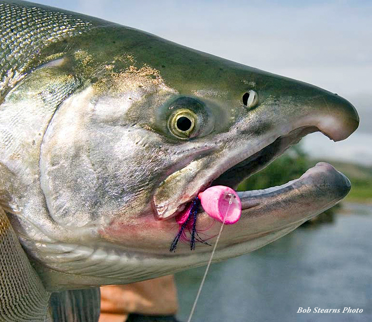 The Fly Shop Travel Image