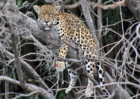 Seasons at Agua Boa Lodge