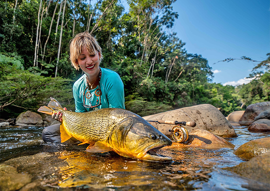 The Fly Shop Travel Image