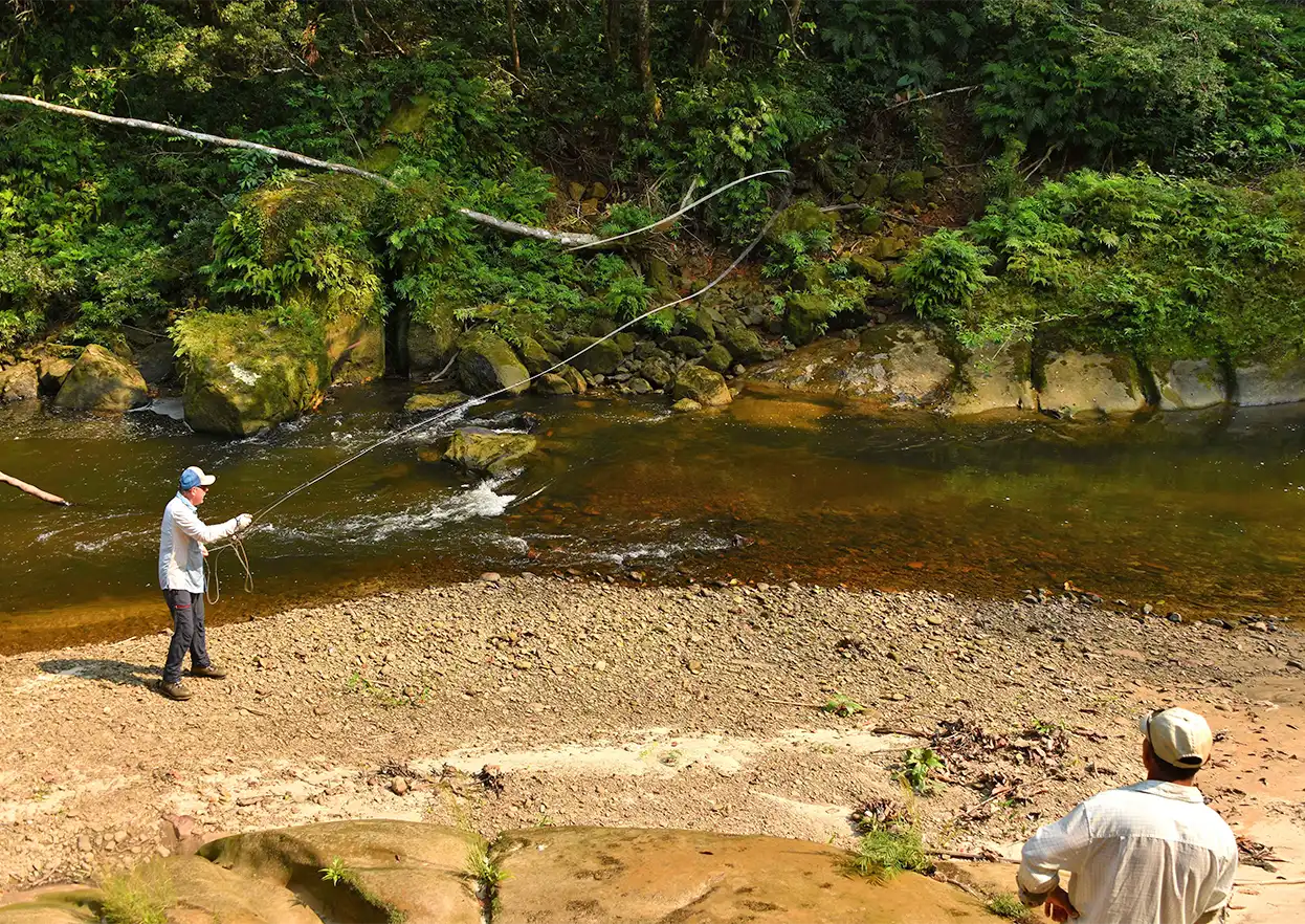 The Fly Shop Travel Image