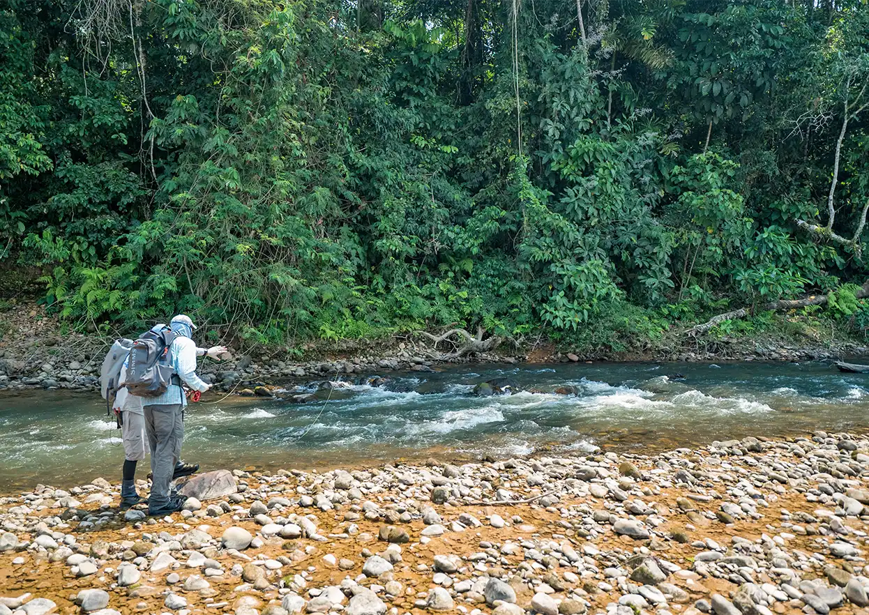 The Fly Shop Travel Image