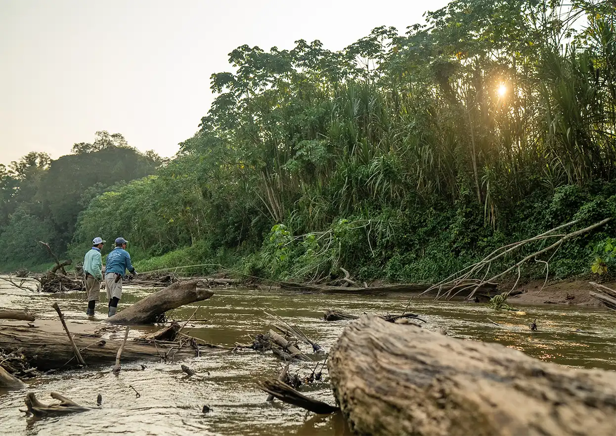 The Fly Shop Travel Image