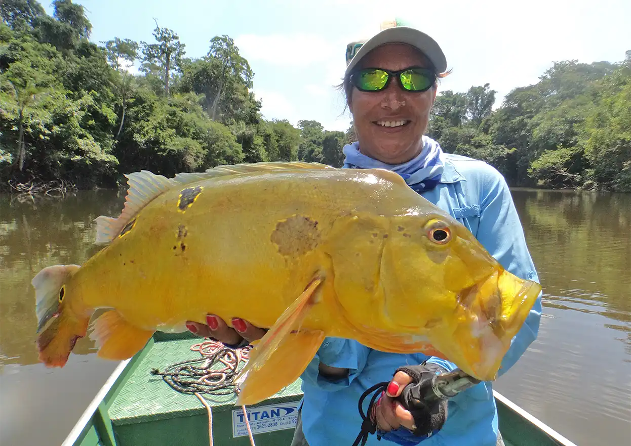 The Fly Shop Travel Image