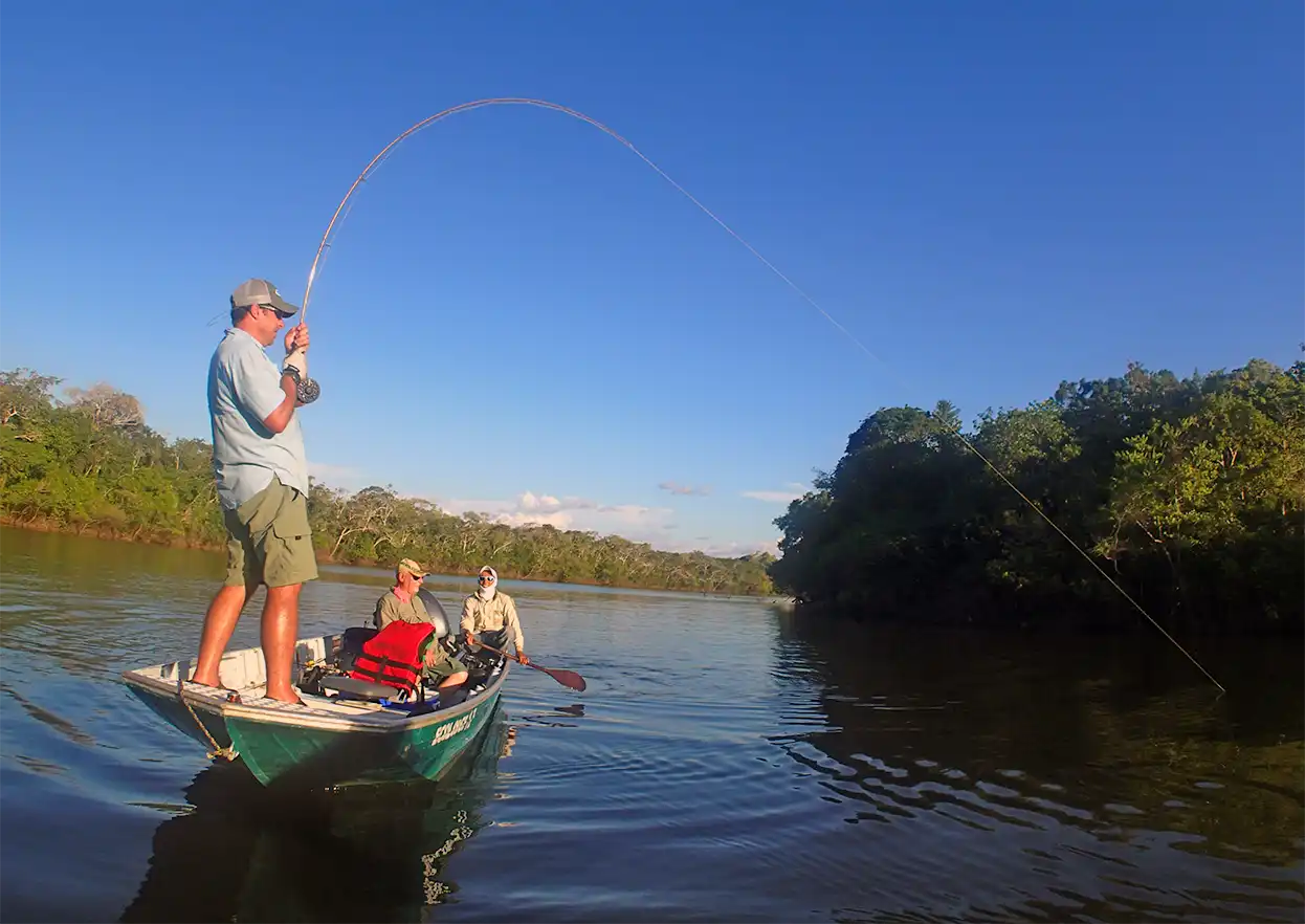 The Fly Shop Travel Image