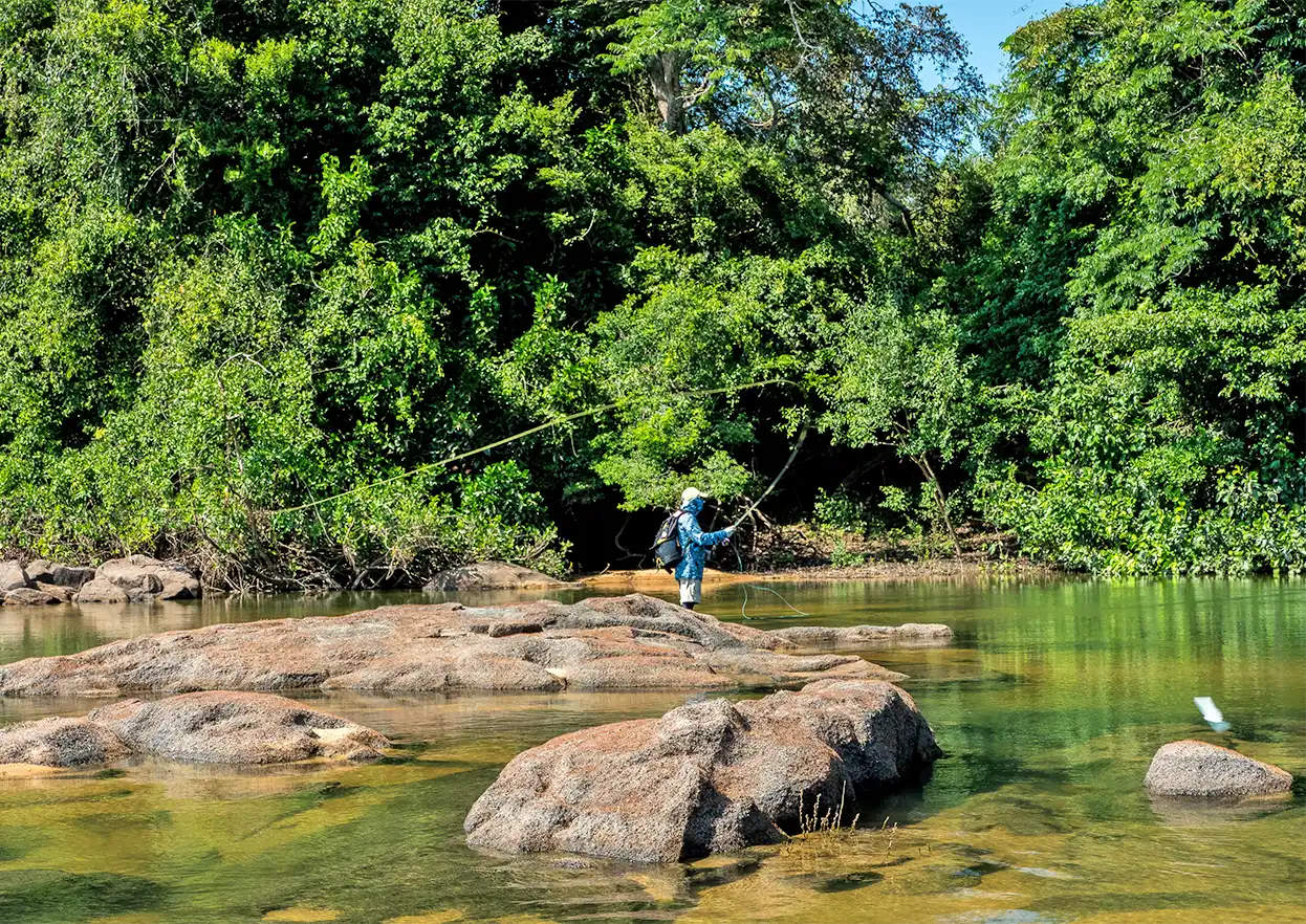 The Fly Shop Travel Image