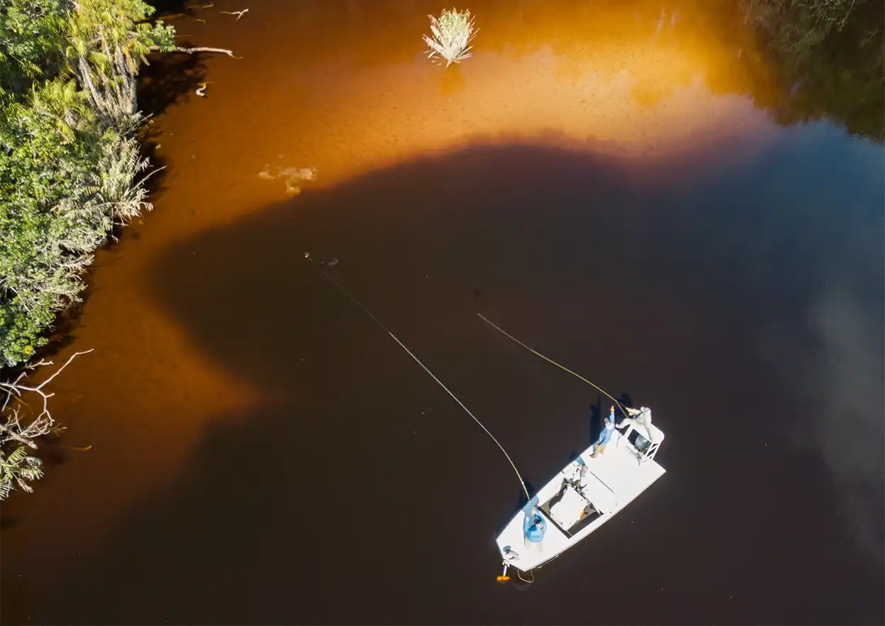 The Fly Shop Travel Image