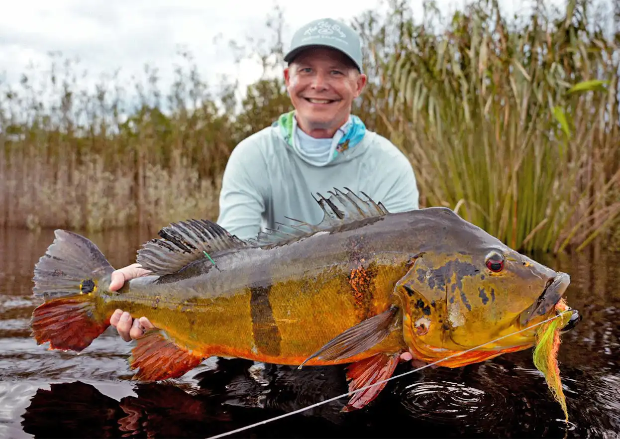 The Fly Shop Travel Image