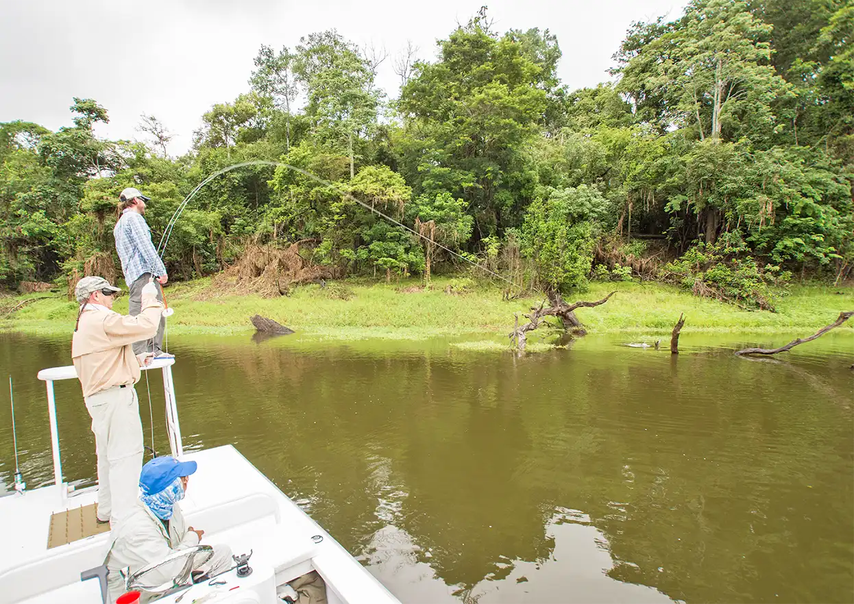 The Fly Shop Travel Image