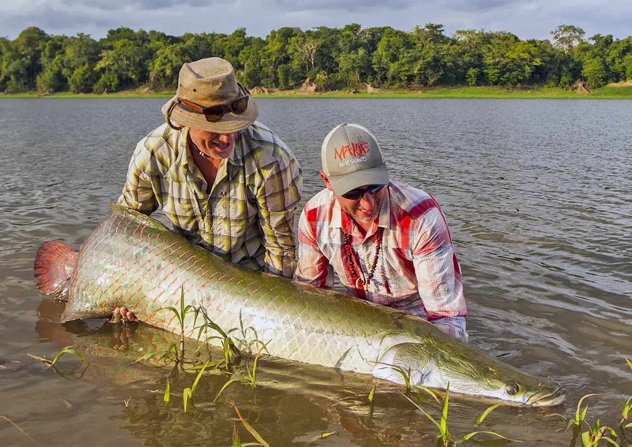 The Fly Shop Travel Image