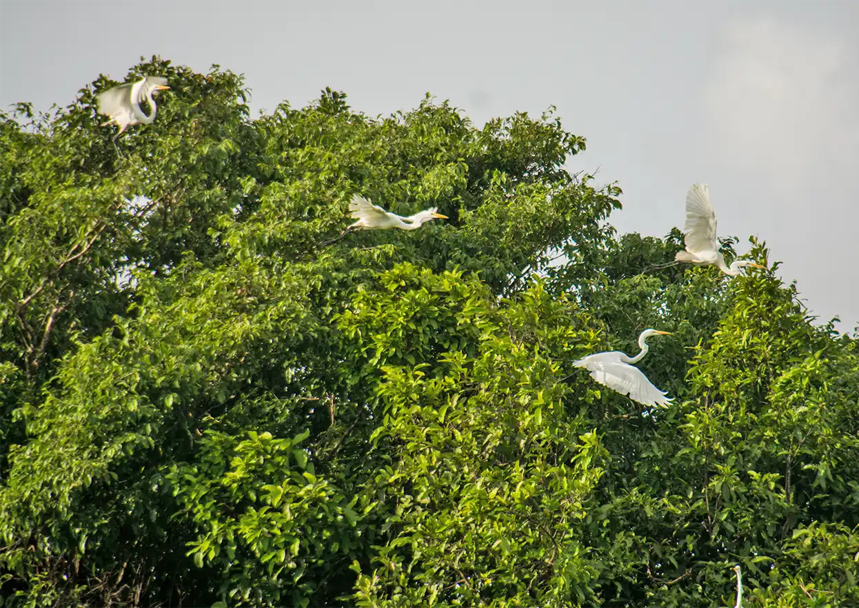 The Fly Shop Travel Image