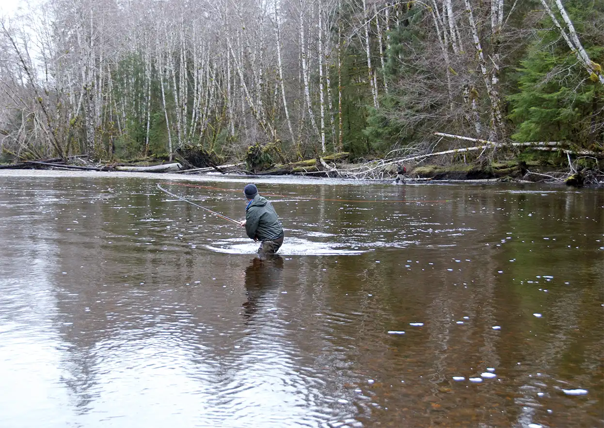 The Fly Shop Travel Image