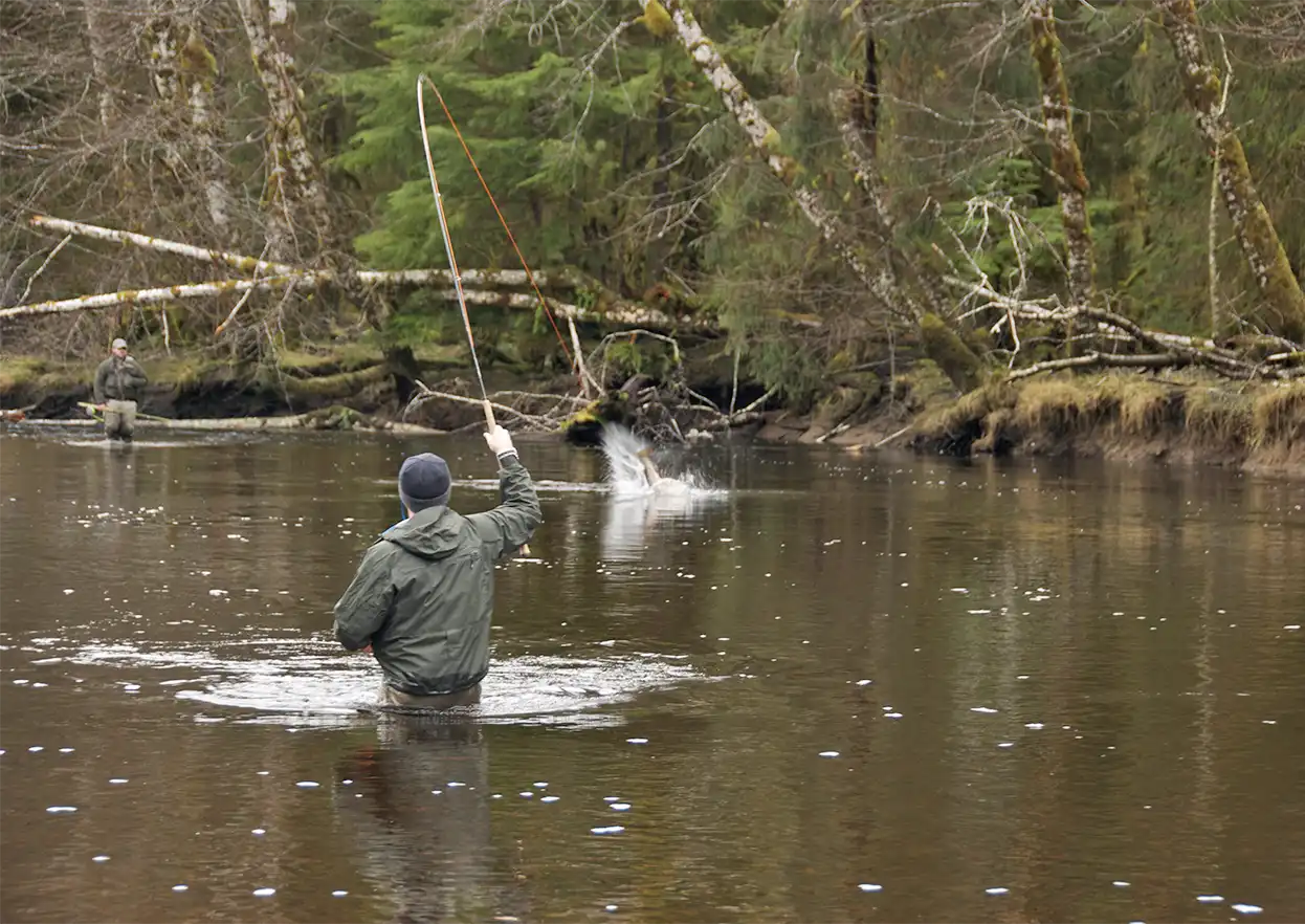 The Fly Shop Travel Image