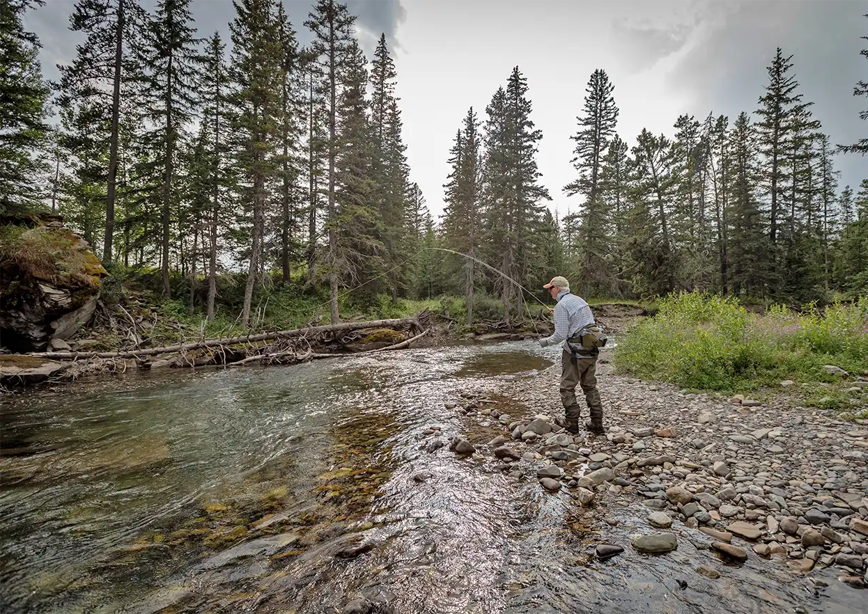 The Fly Shop Travel Image