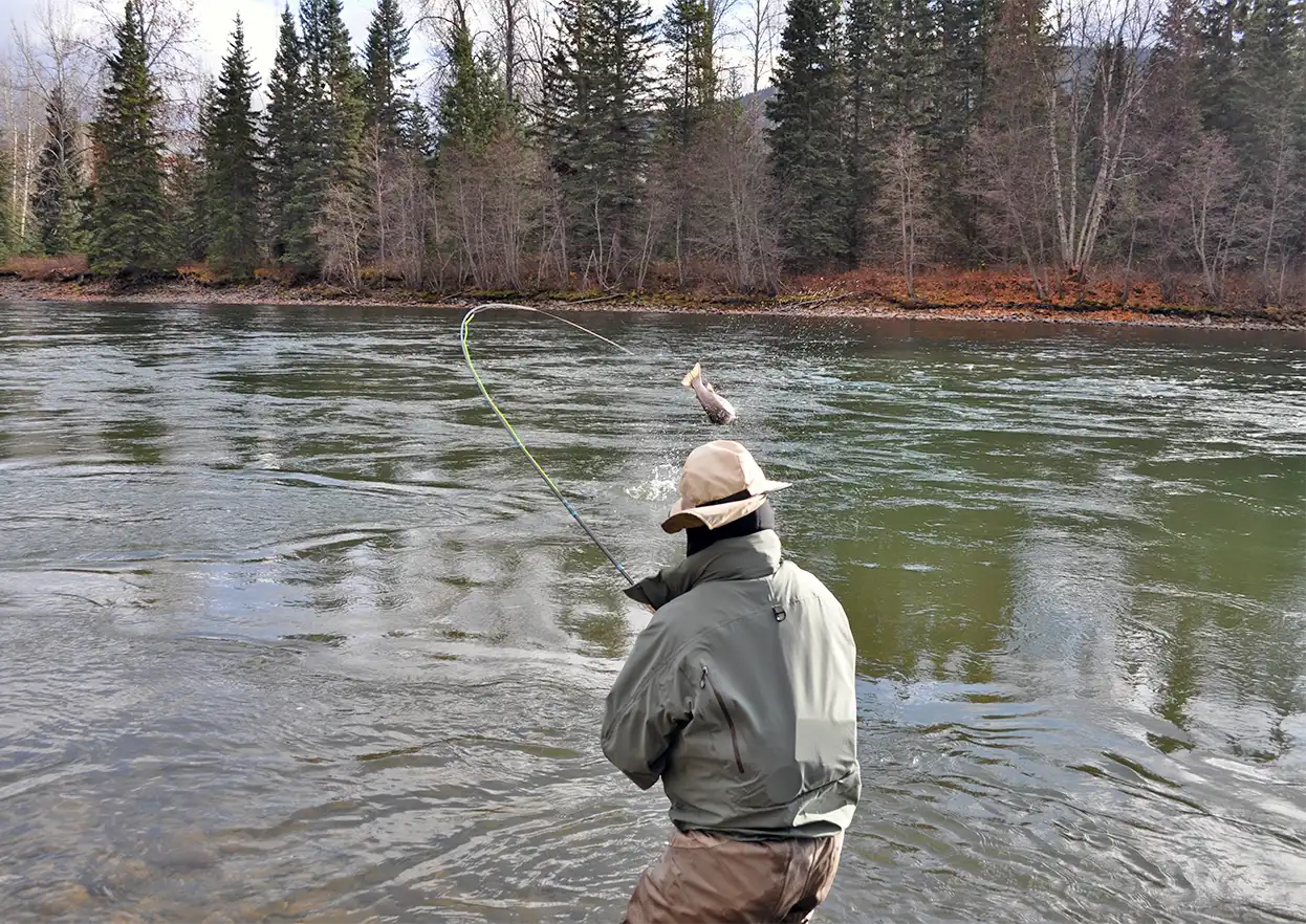 The Fly Shop Travel Image