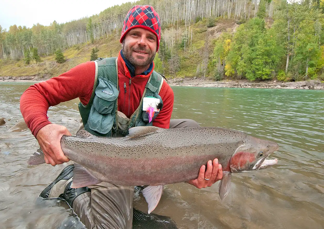 The Fly Shop Travel Image