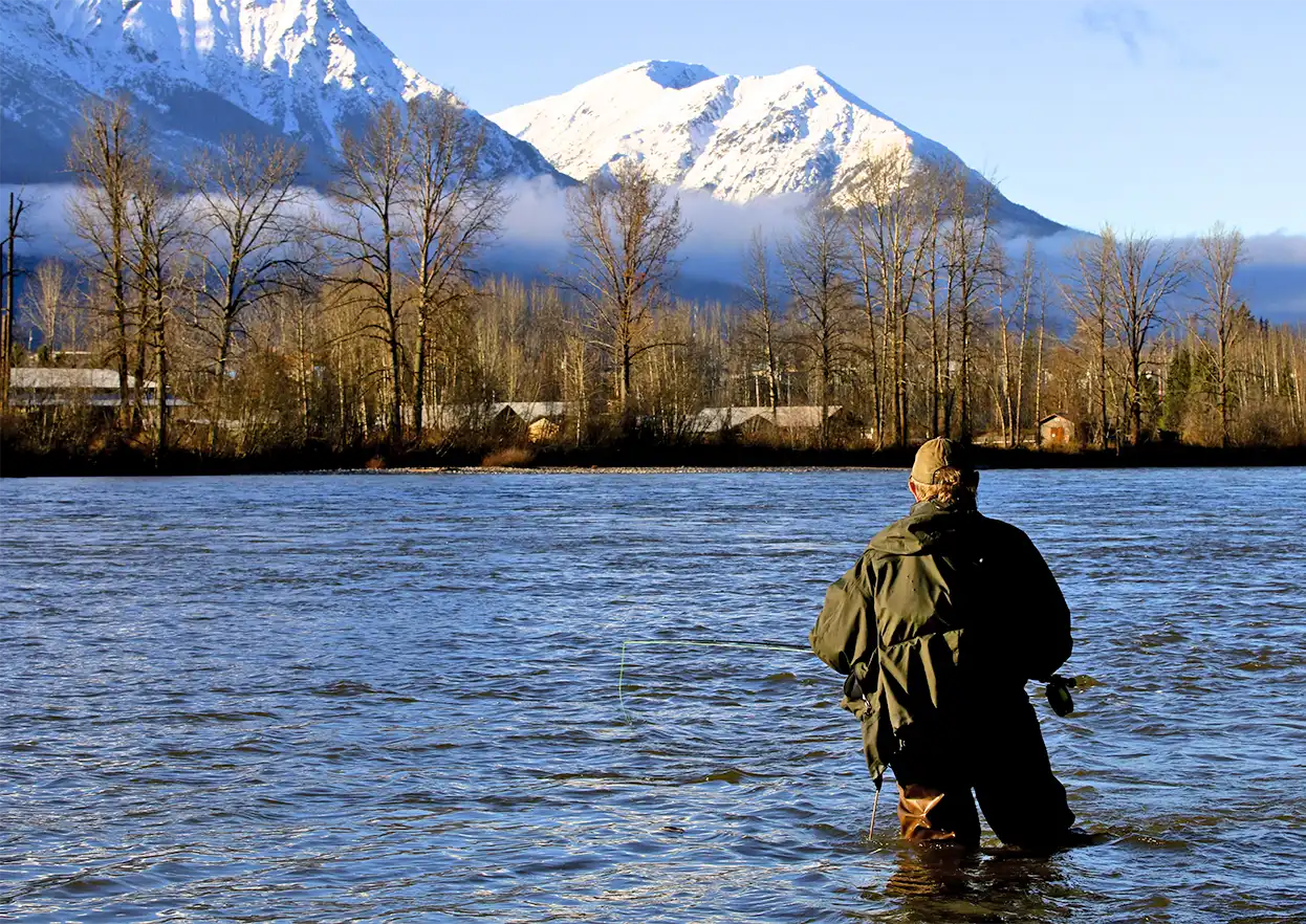 The Fly Shop Travel Image