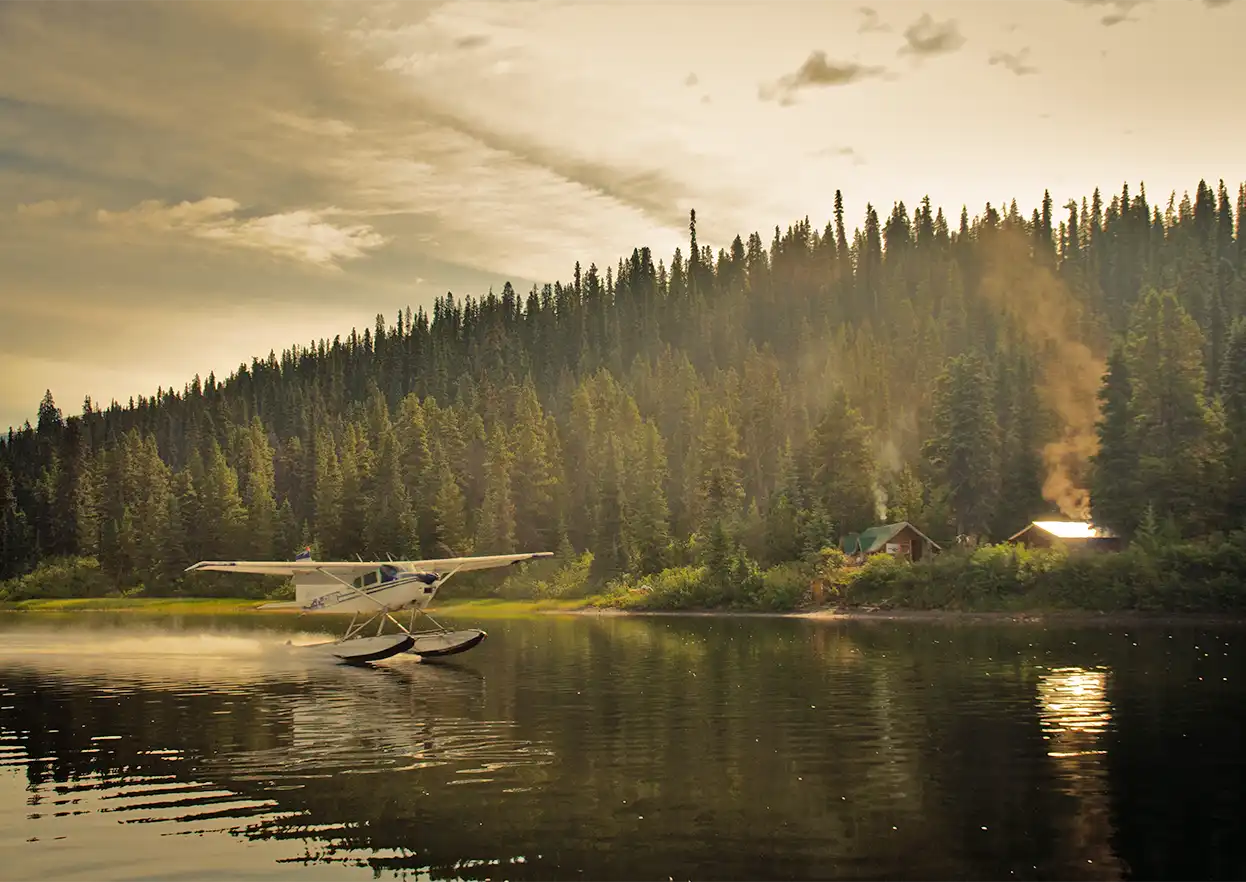 The Fly Shop Travel Image