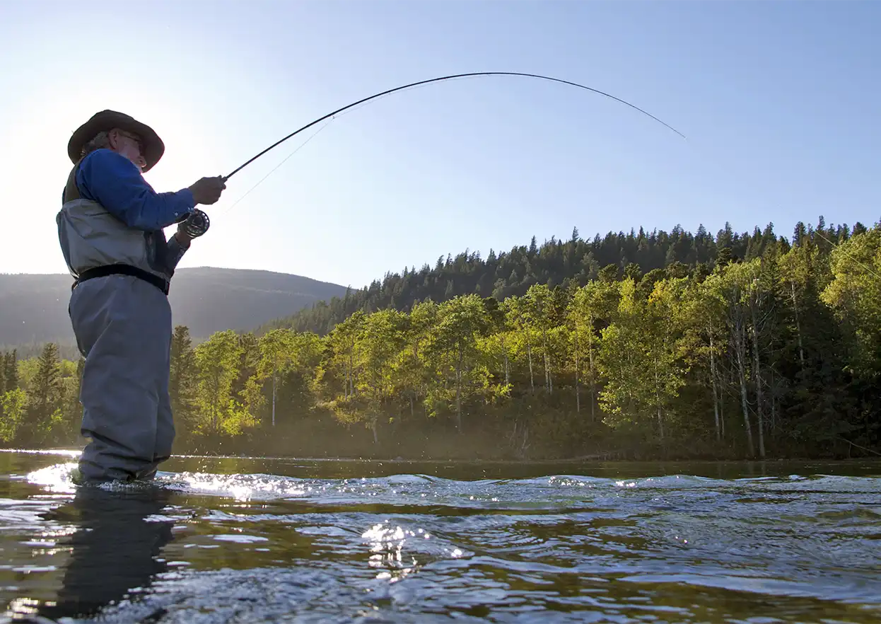 The Fly Shop Travel Image