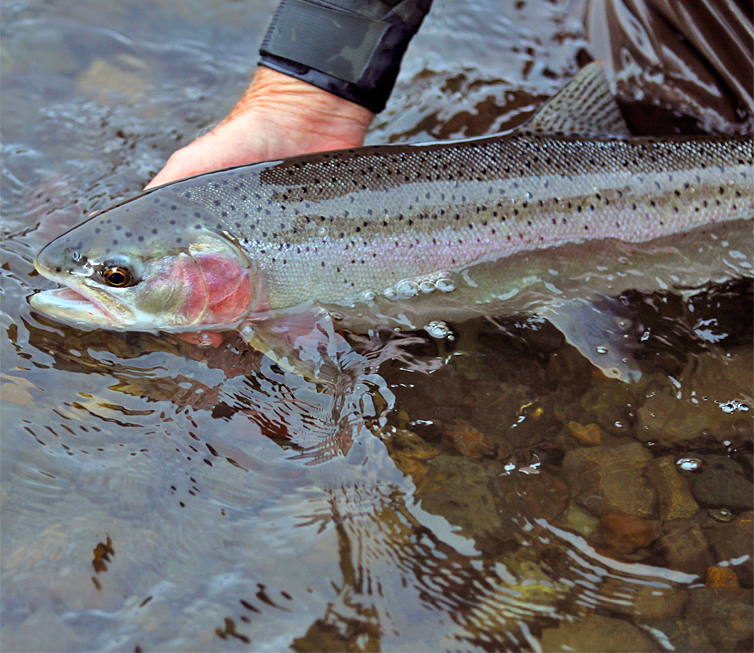 Frontier Farwest Lodge