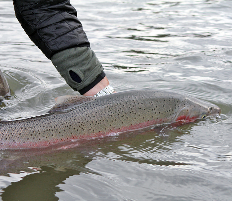 Frontier Farwest Lodge