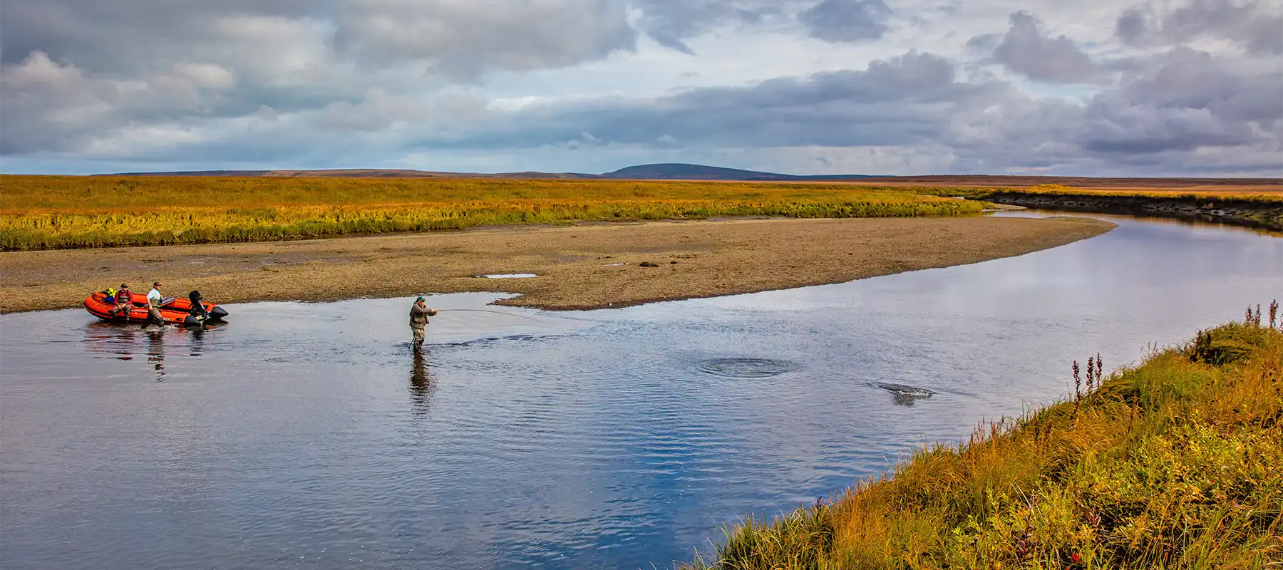 Kamchatka Steelhead Project