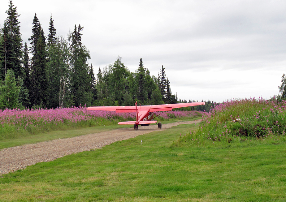 The Fly Shop Travel Image