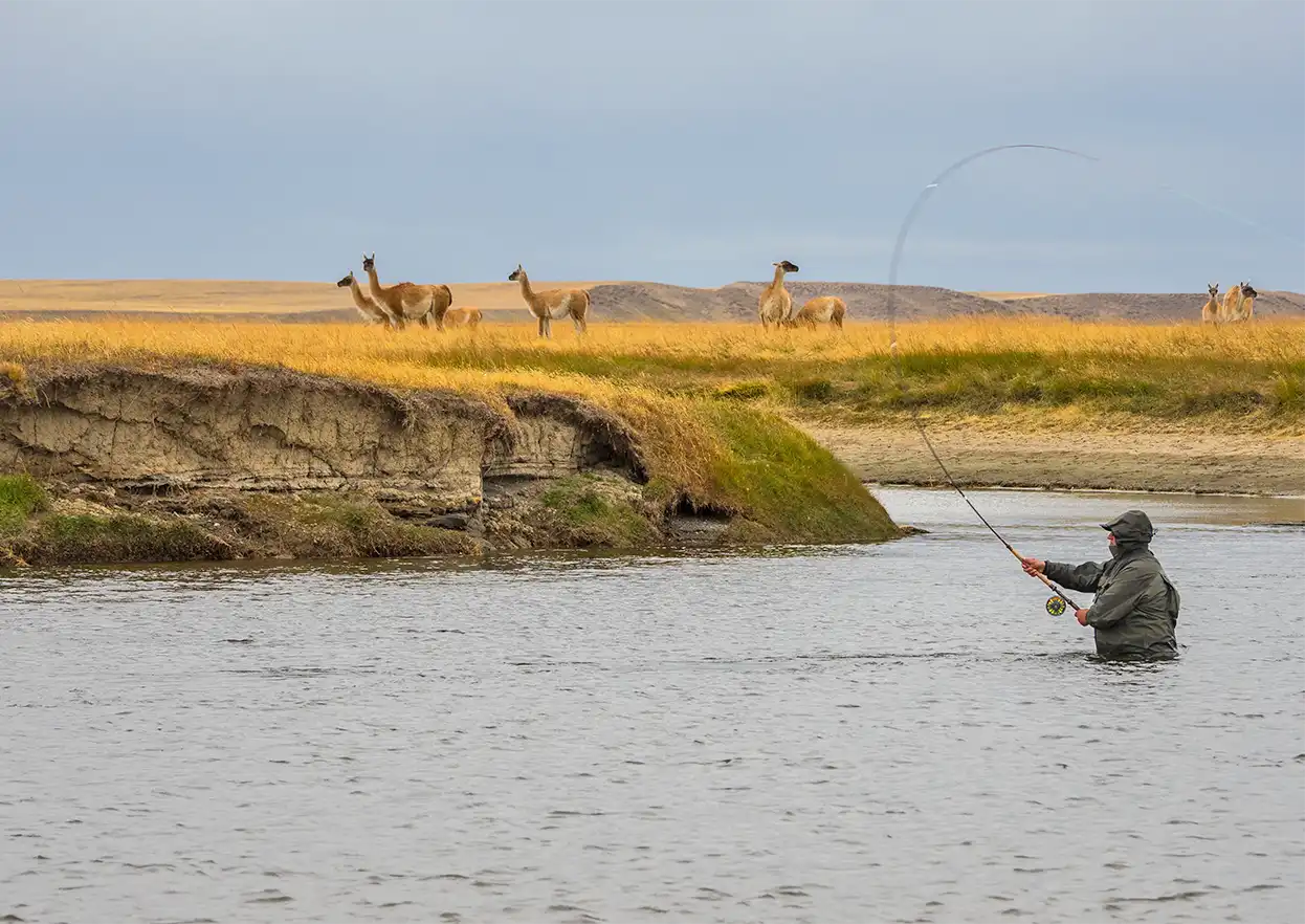 The Fly Shop Travel Image