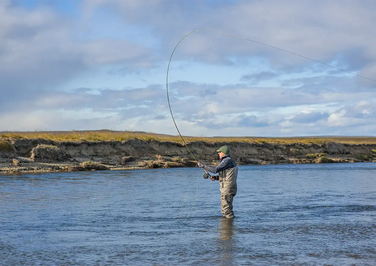 The Fly Shop Travel Image