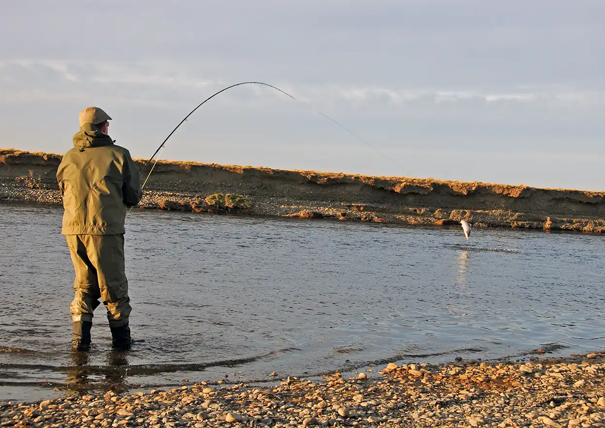 The Fly Shop Travel Image