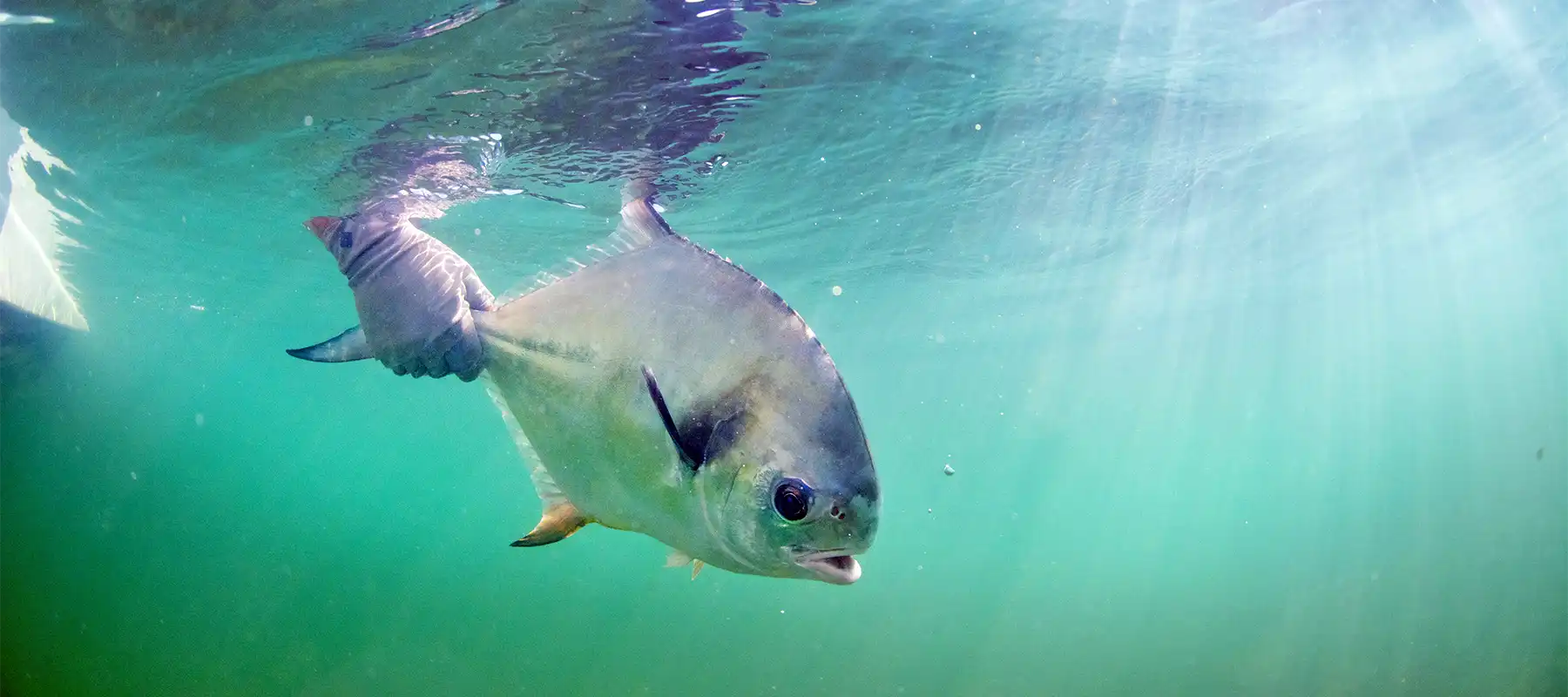 Espiritu Santo Bay Lodge
