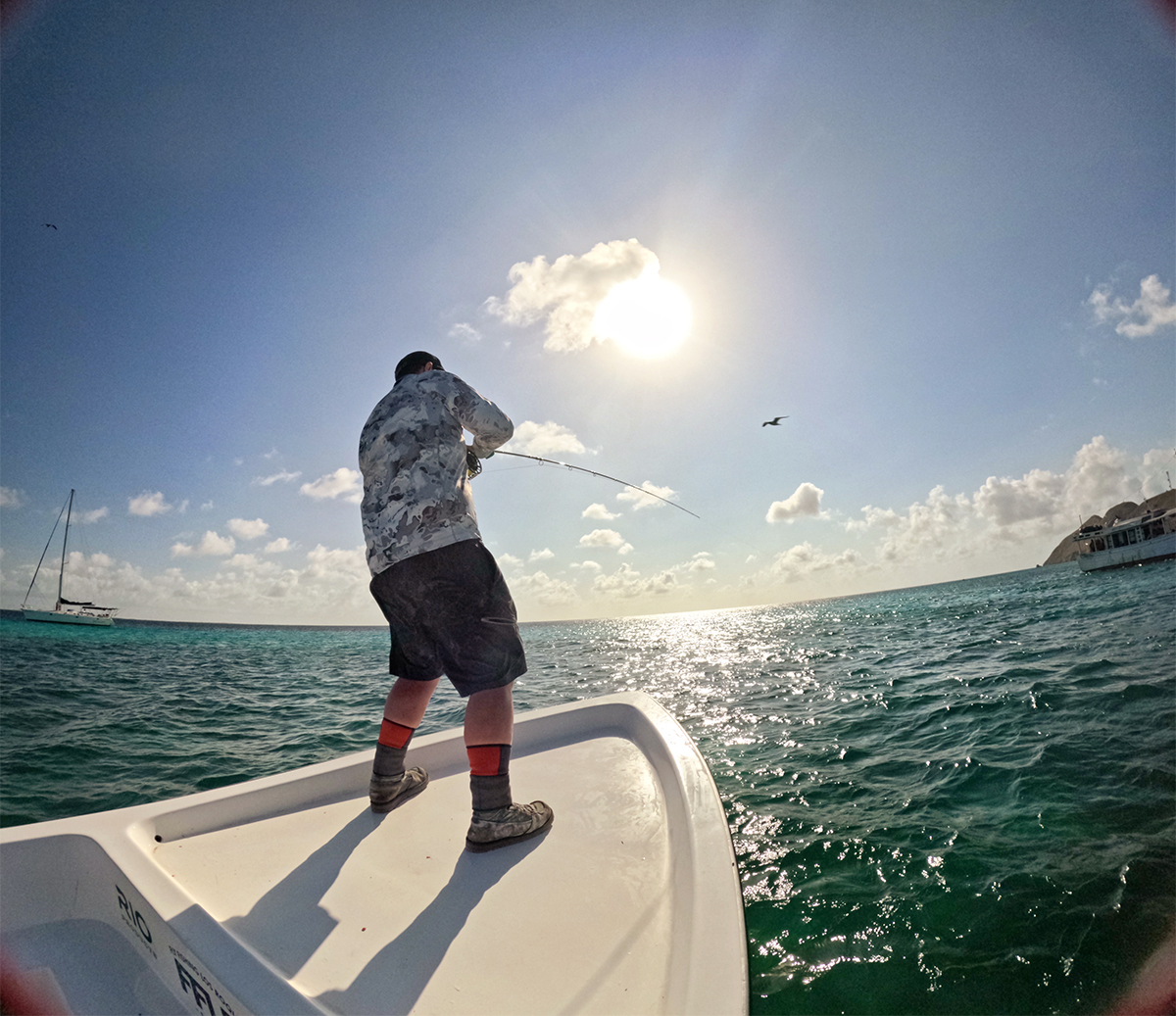 The Fly Shop Images