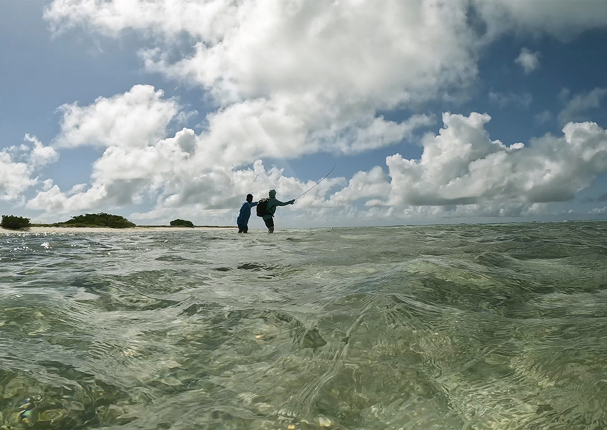 The Fly Shop Travel Image