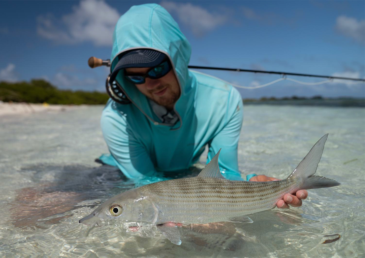 The Fly Shop Travel Image