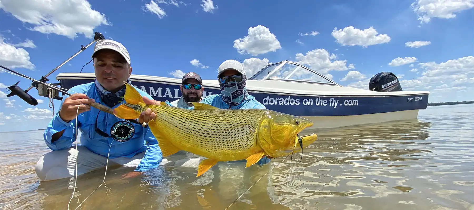 Dorados On The Fly