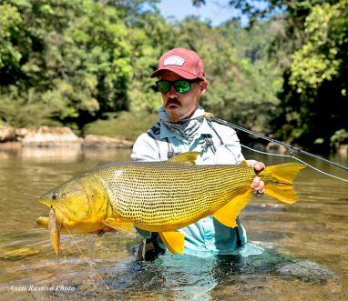 Golden Dorado at Tsimane's Agua Negra Lodge