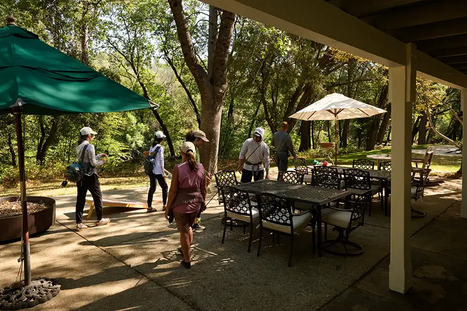 The Fly Shop Travel Image