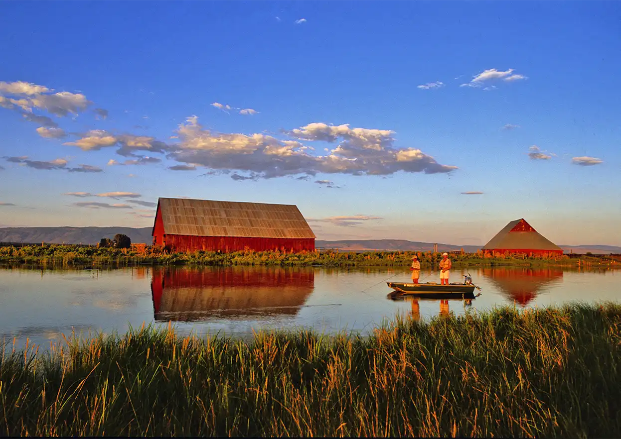 The Fly Shop Travel Image