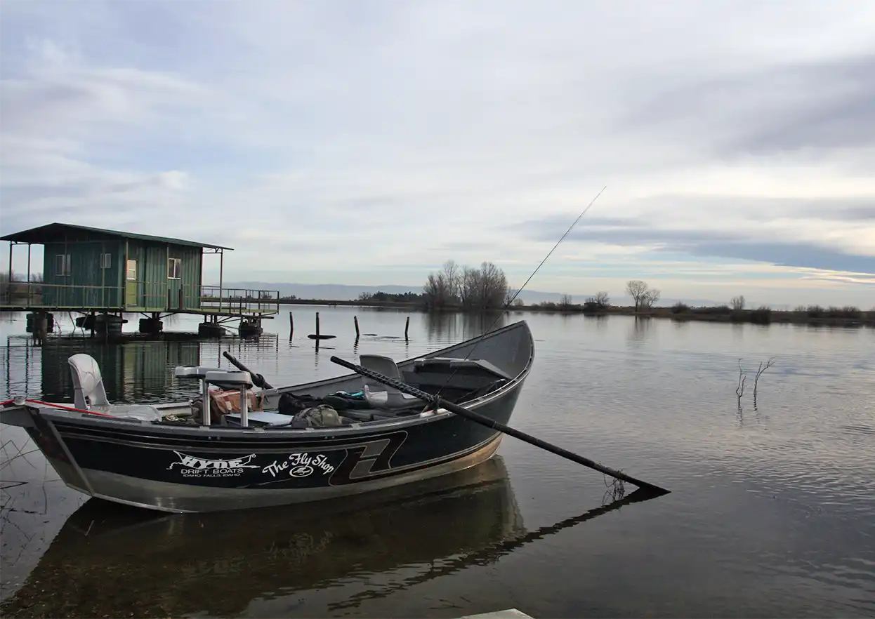 The Fly Shop Travel Image