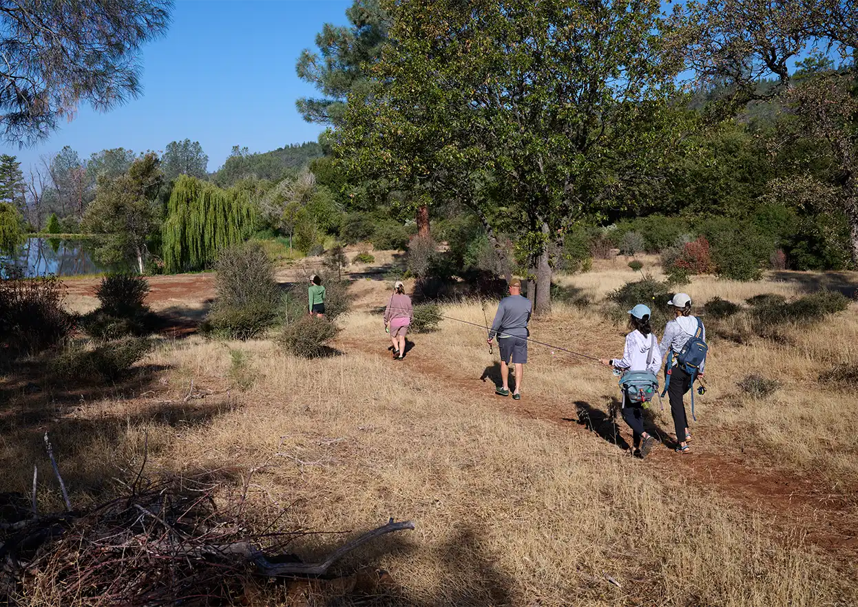 The Fly Shop Travel Image