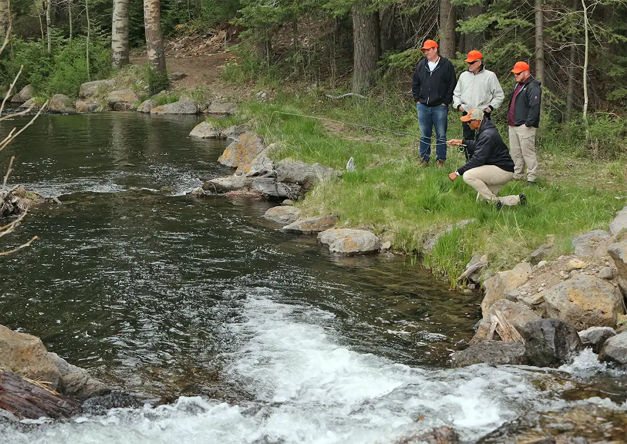 The Fly Shop Travel Image