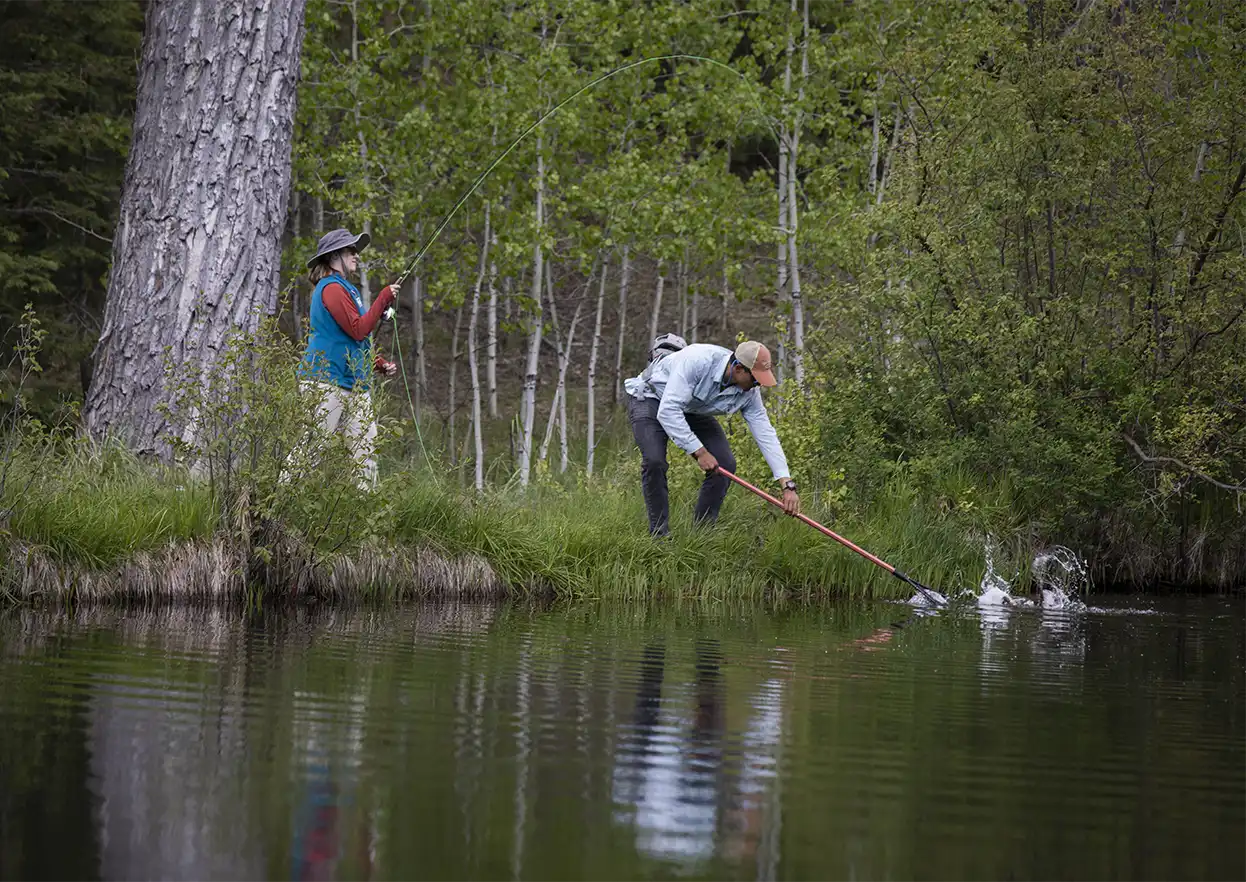 The Fly Shop Travel Image