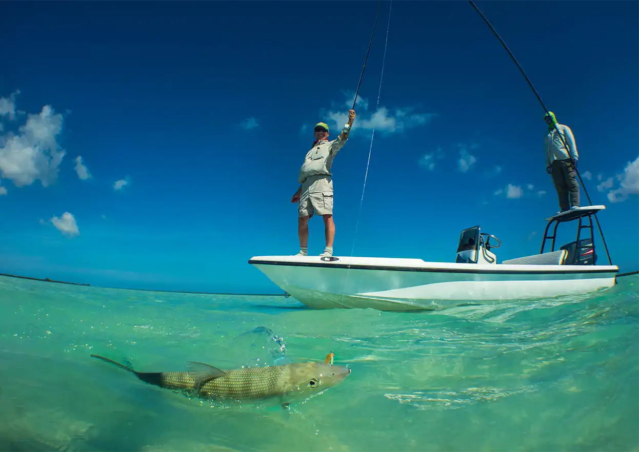 The Fly Shop Travel Image