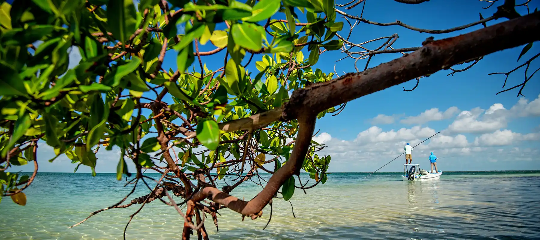 Mexican Yucatan Fly Fishing Lodges