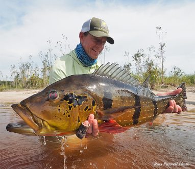 Ross Purnell with a Temensis Peacock Bass at Rio Marie in Brazil