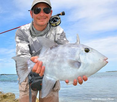 Grey Triggerfish at H2O Bonefishing in the Bahamas