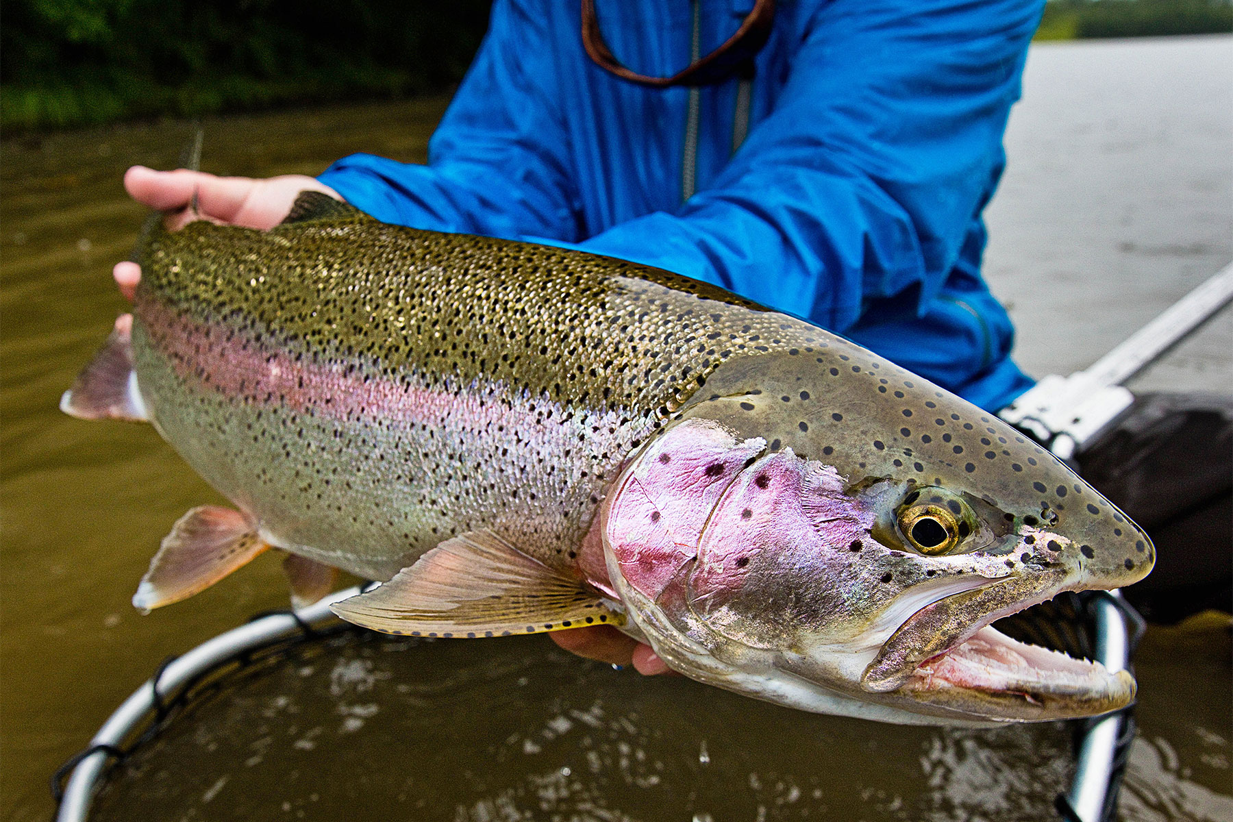 5 Ways to Break Through the Fly Fishing Learning Curve