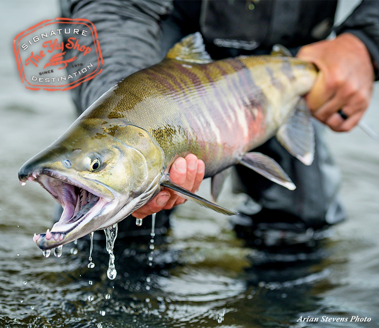 Other Salmon Fly Fishing - Salmon Fishing Lodges