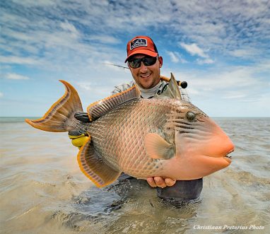 Yellowmargin Triggerfish at Providence Atoll in the Indian Ocean