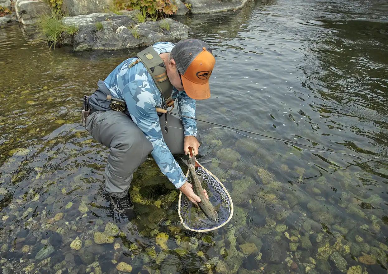 The Fly Shop Travel Image